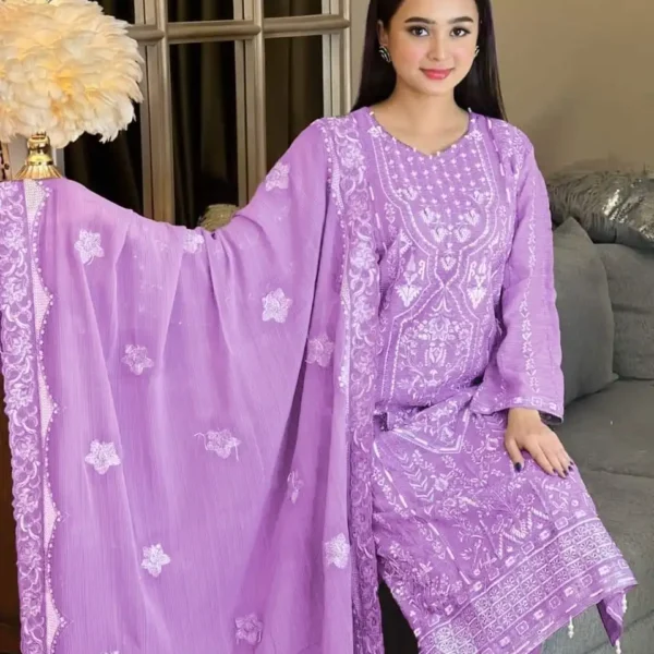 Trendy Embroidery Work Salwar Kameez